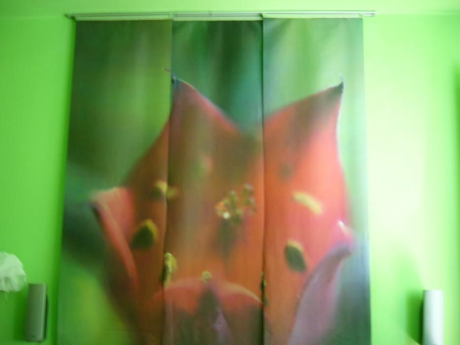 Fototapeta przesuwna obraz motyw KWIAT szer. 180 cm dl. 250 cm