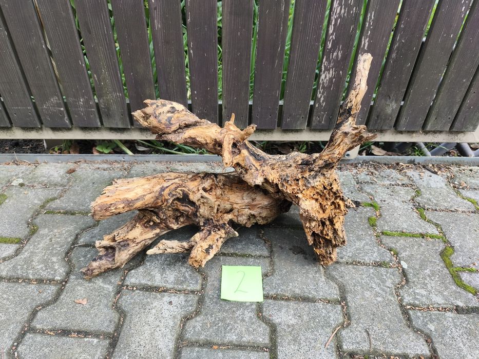 Korzeń nr 2 do akwarium