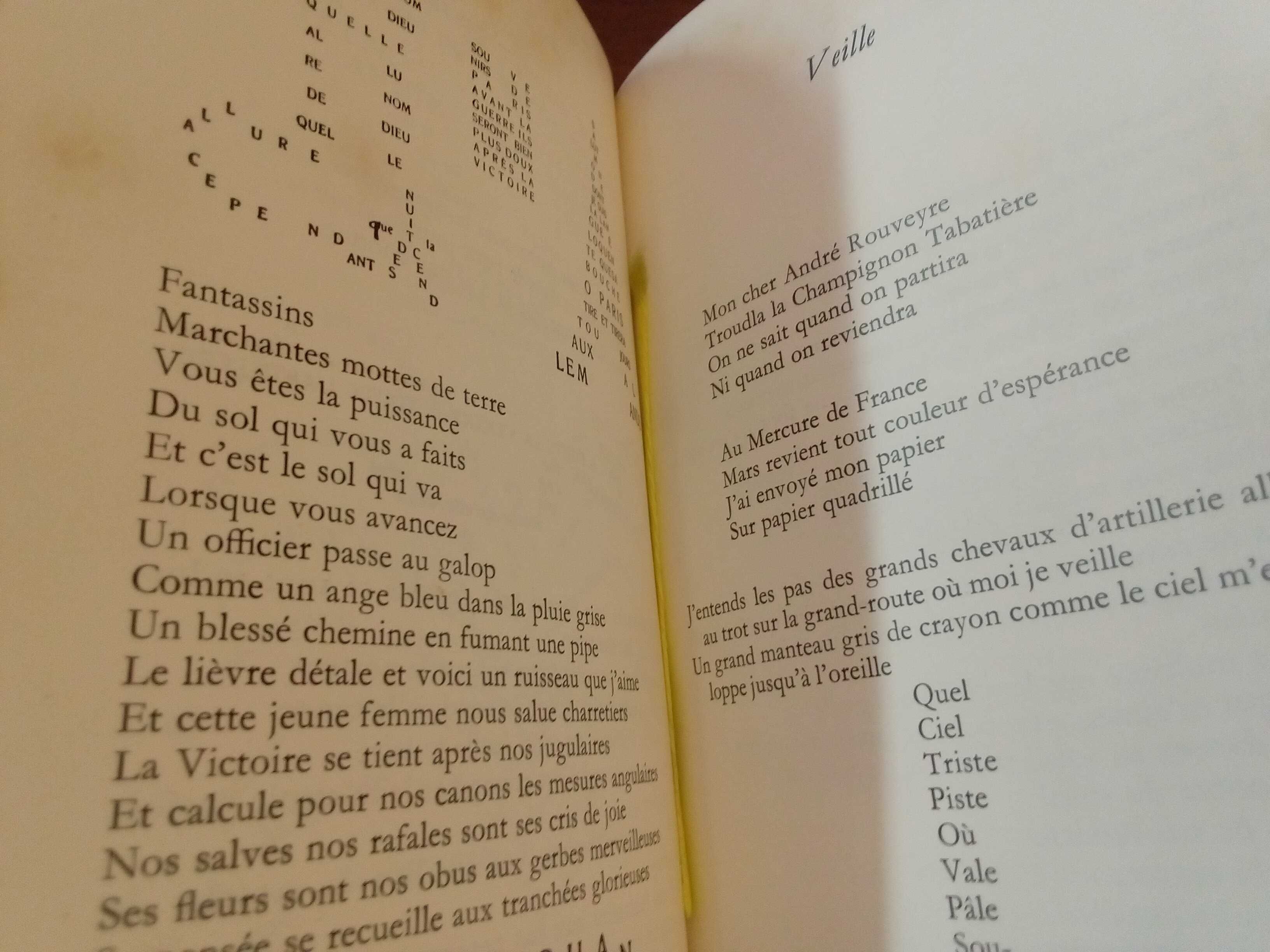 Apollinaire - Calligrammes