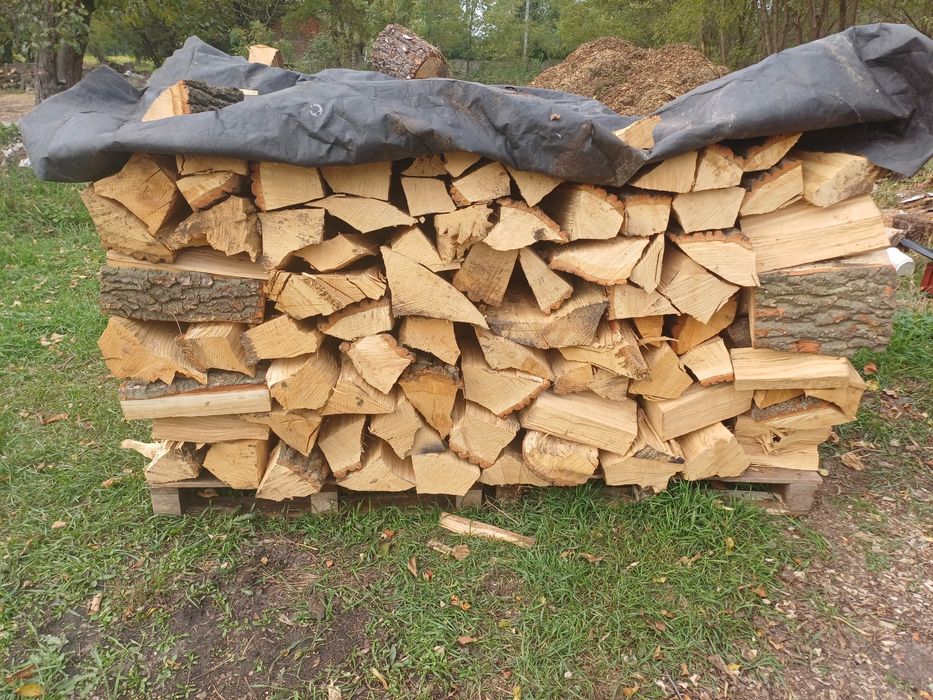 Drewno akacja  dąb brzoza drzewo opałowe
