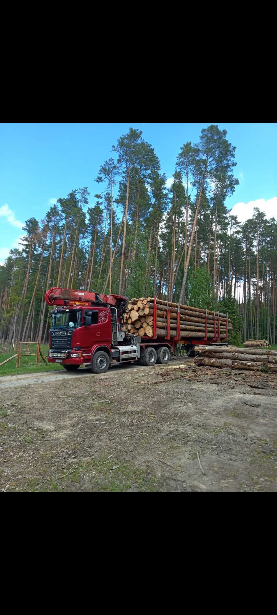 Scania do drewna drzewa zamiana lasu dluzycy 6x4 hds