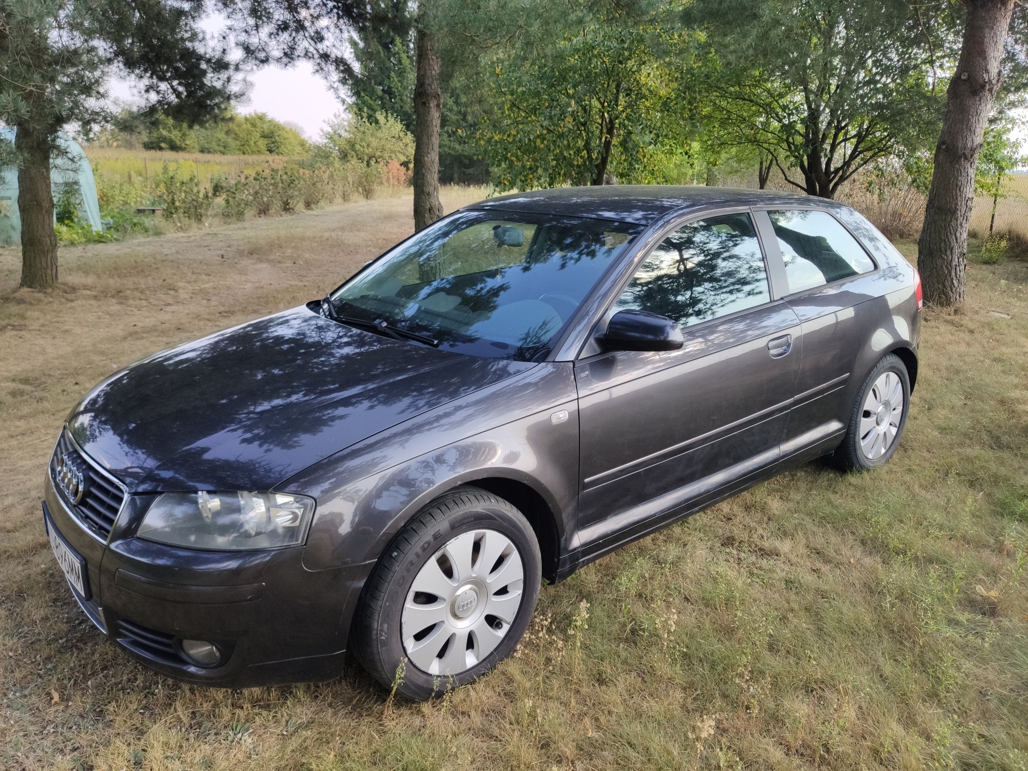 Audi a3 8p 1.6 MPI 2004r