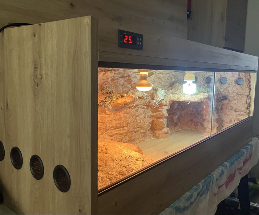 Terrarium pustynne, tropikalne. Żółw, jaszczurka.