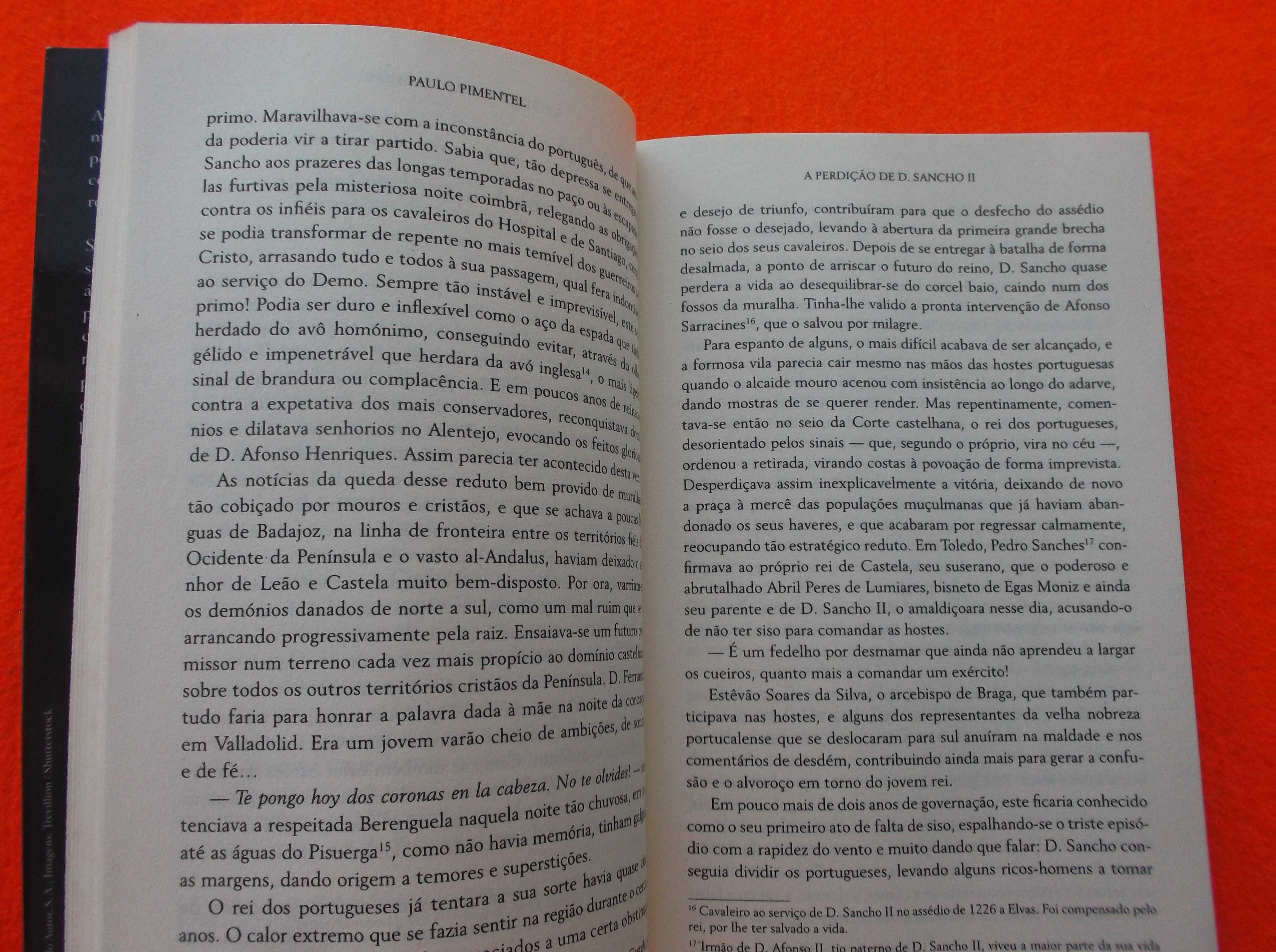 A Perdição de D. Sancho II  - Paulo Pimentel
