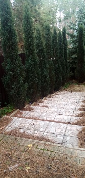 Сдам дом в безопасном тихом месте.поселок Артюховка Змеевского р. 2 эт