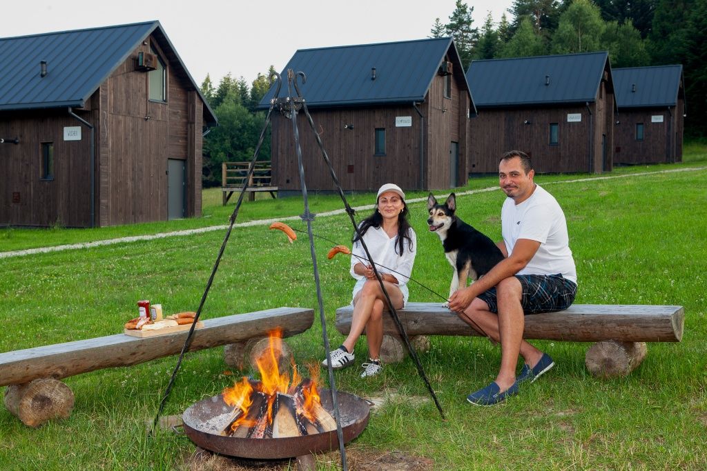 Domki wakacyjne na wynajem w Beskidach k/Krynicy-Zdrój POLANA PIORUN