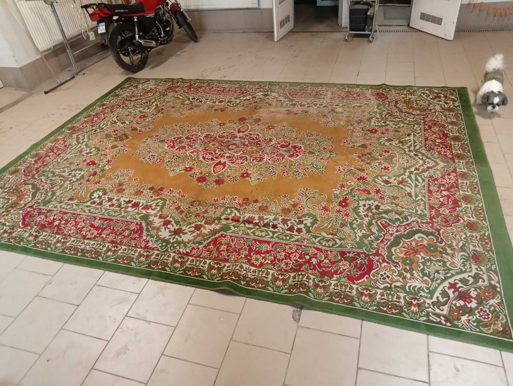 Dywan Wełniany 300x400 AGNELLA Białystok
