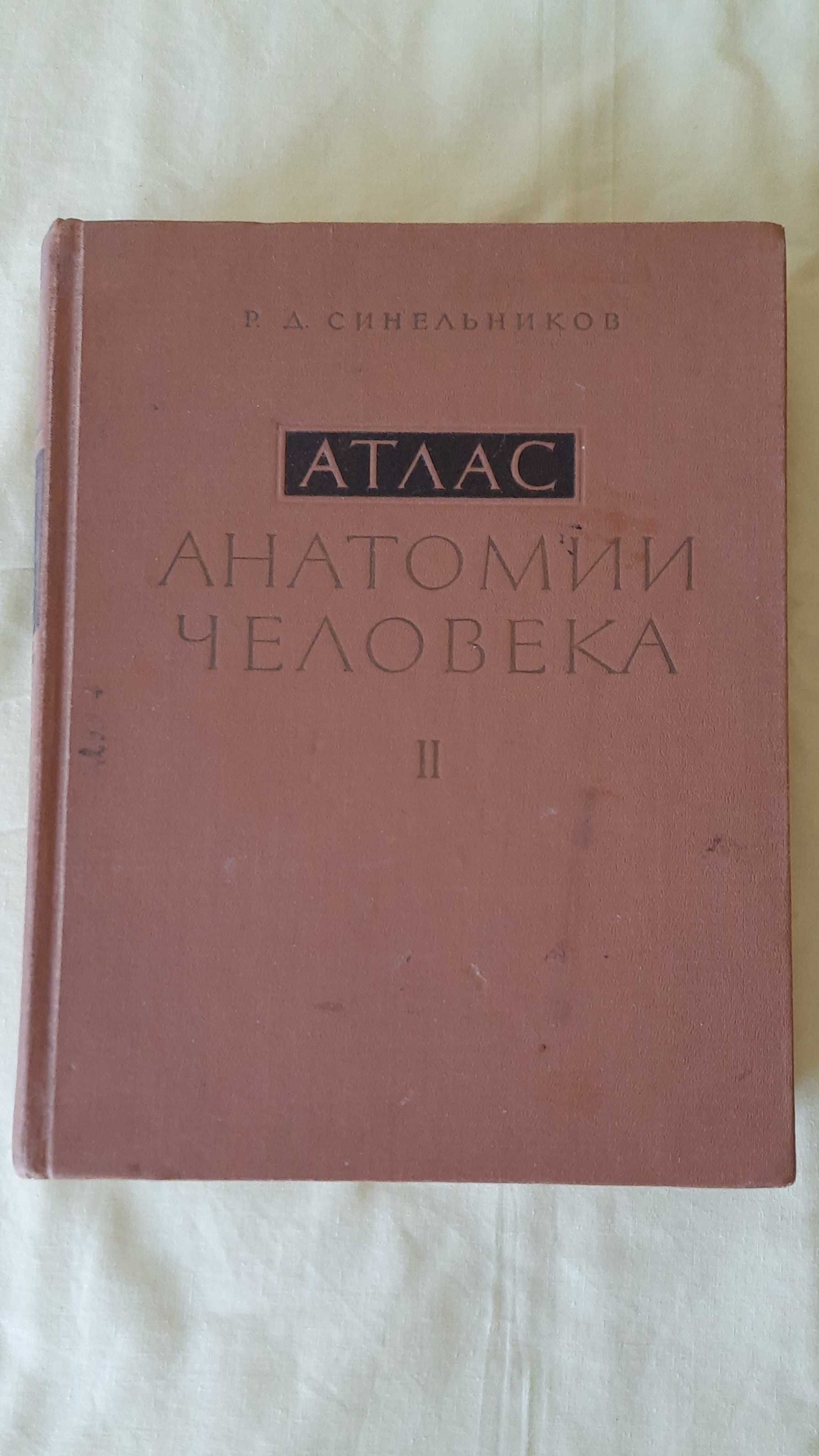 Атлас анатомии человека