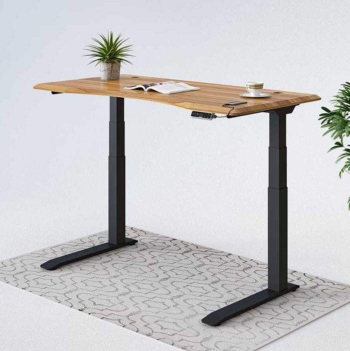 Standing Desk - Secretária Flexispot E7 Pro Nova