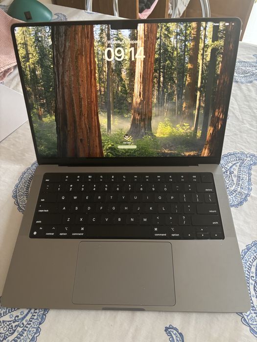 MacBook Pro 14 M1 Max 32GB 1TB, 32 core GPU (max)
