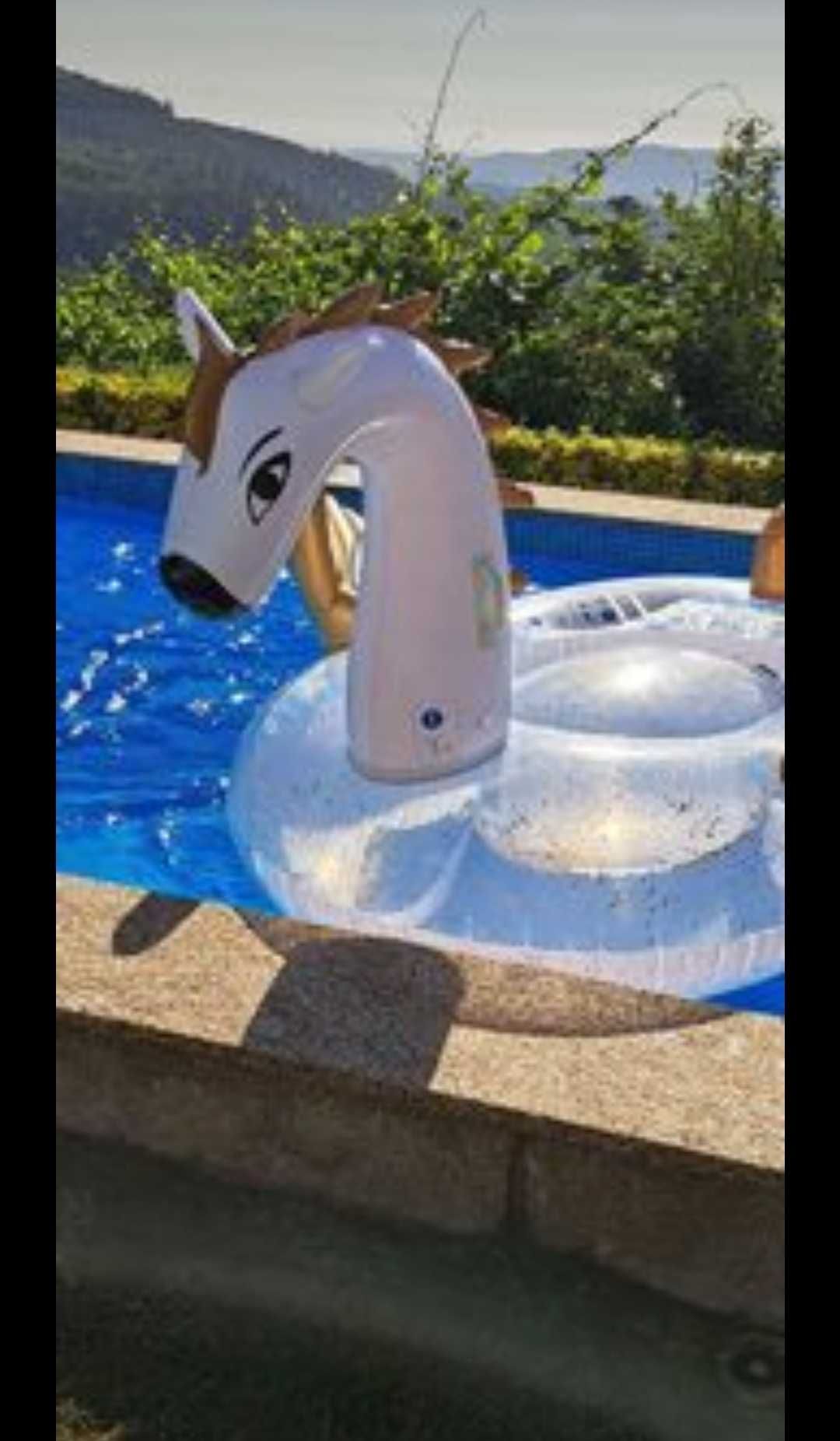 Bóia Pegasus piscina