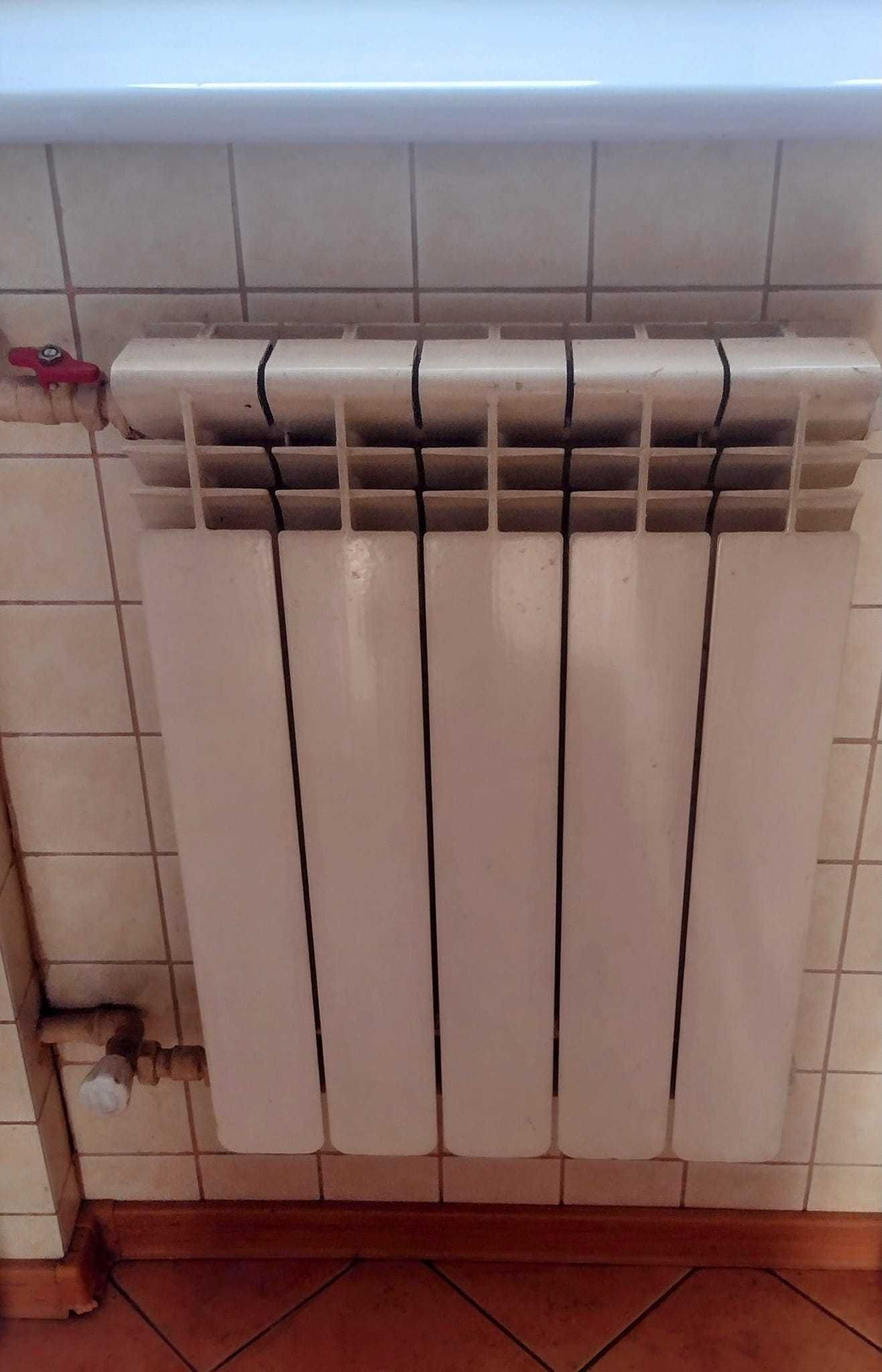 Grzejniki aluminiowe i Piec Zębiec