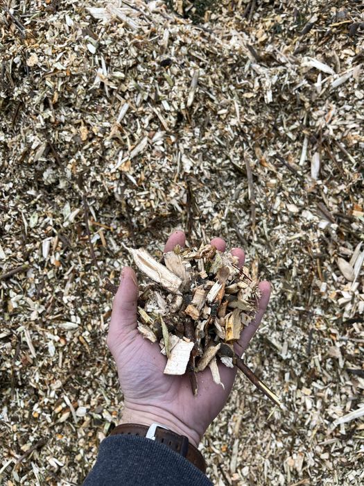 Zrębka, biomasa, zrębka leśna