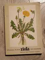 Zioła i ich zastosowanie
