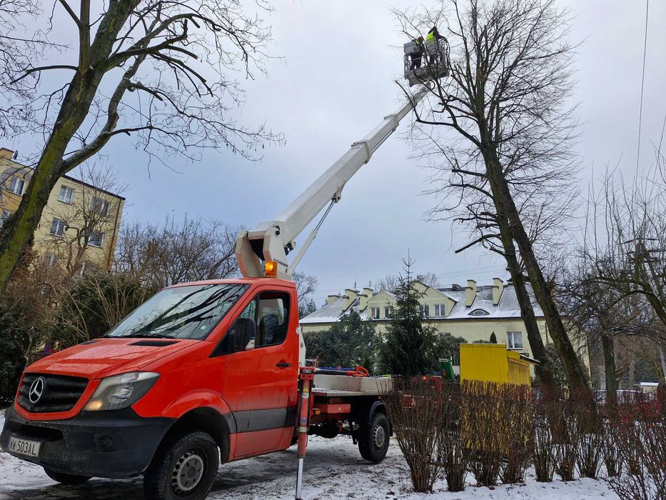Wycinka drzew, przycinanie koron, zrębkowanie gałęzi, wywóz urobku