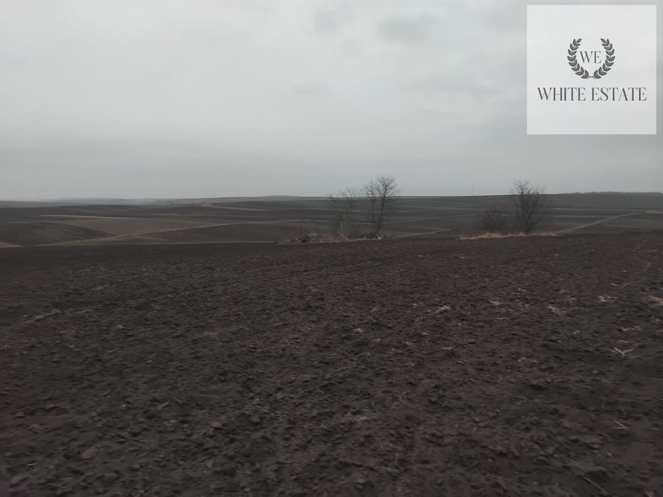 Продаж земельної ділянки с.Плотича