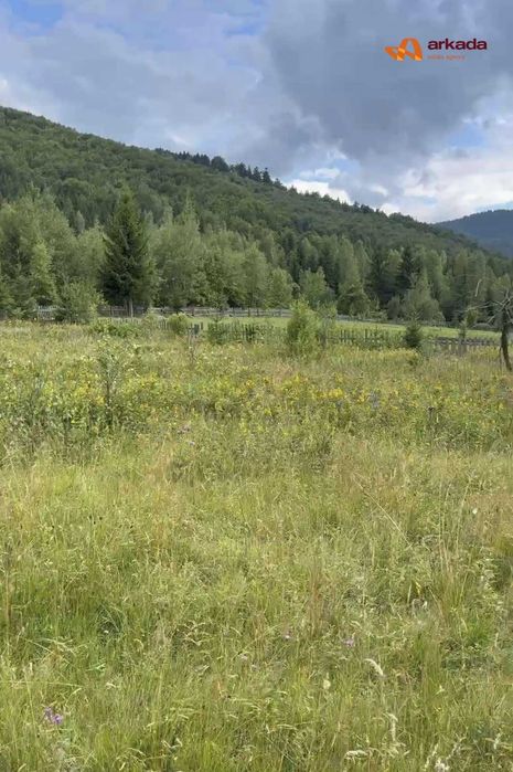 Продається земельна ділянка в с. Стара Гута