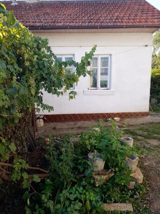 Продам дом в селі