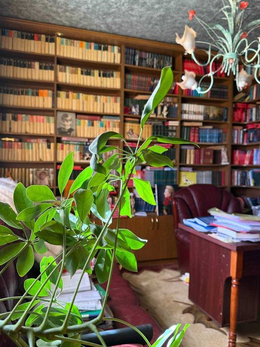 Продаж будинку с.Дібрівки\Пустомити