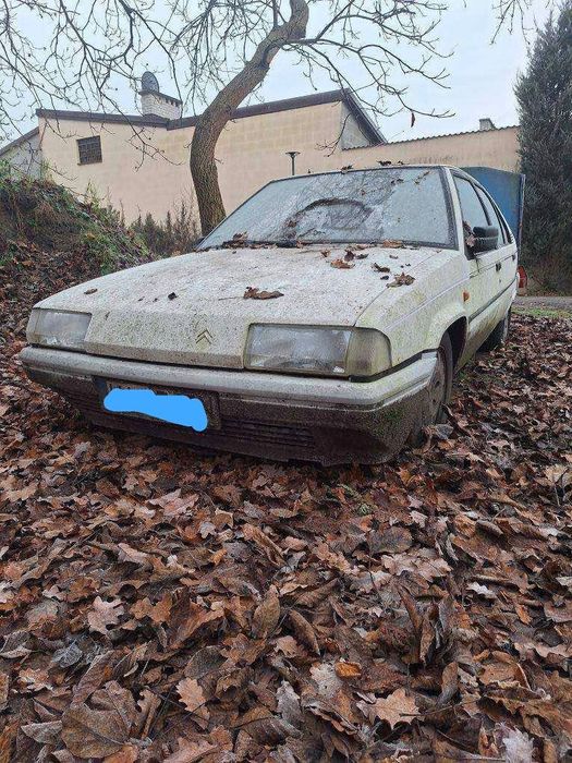 Citroen BX 1.4 TGE, 1990.