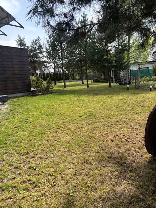 Prace ogrodowe/pielegnacja ogrodow