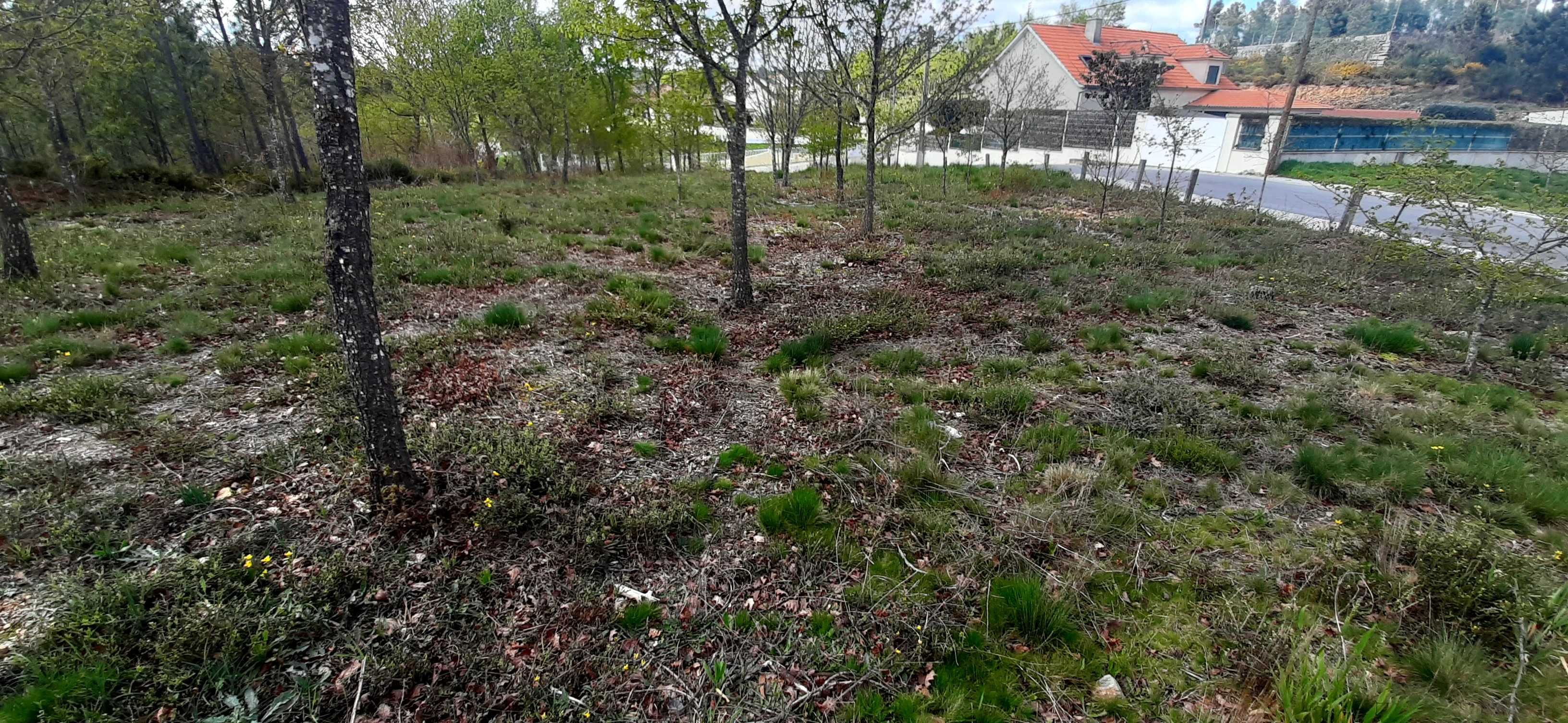 Terreno construtível muito bem localizado