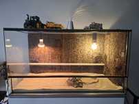 Terrarium dla gada