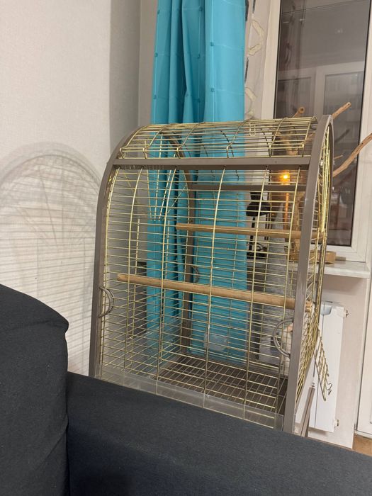 Велика клітка для папуги
