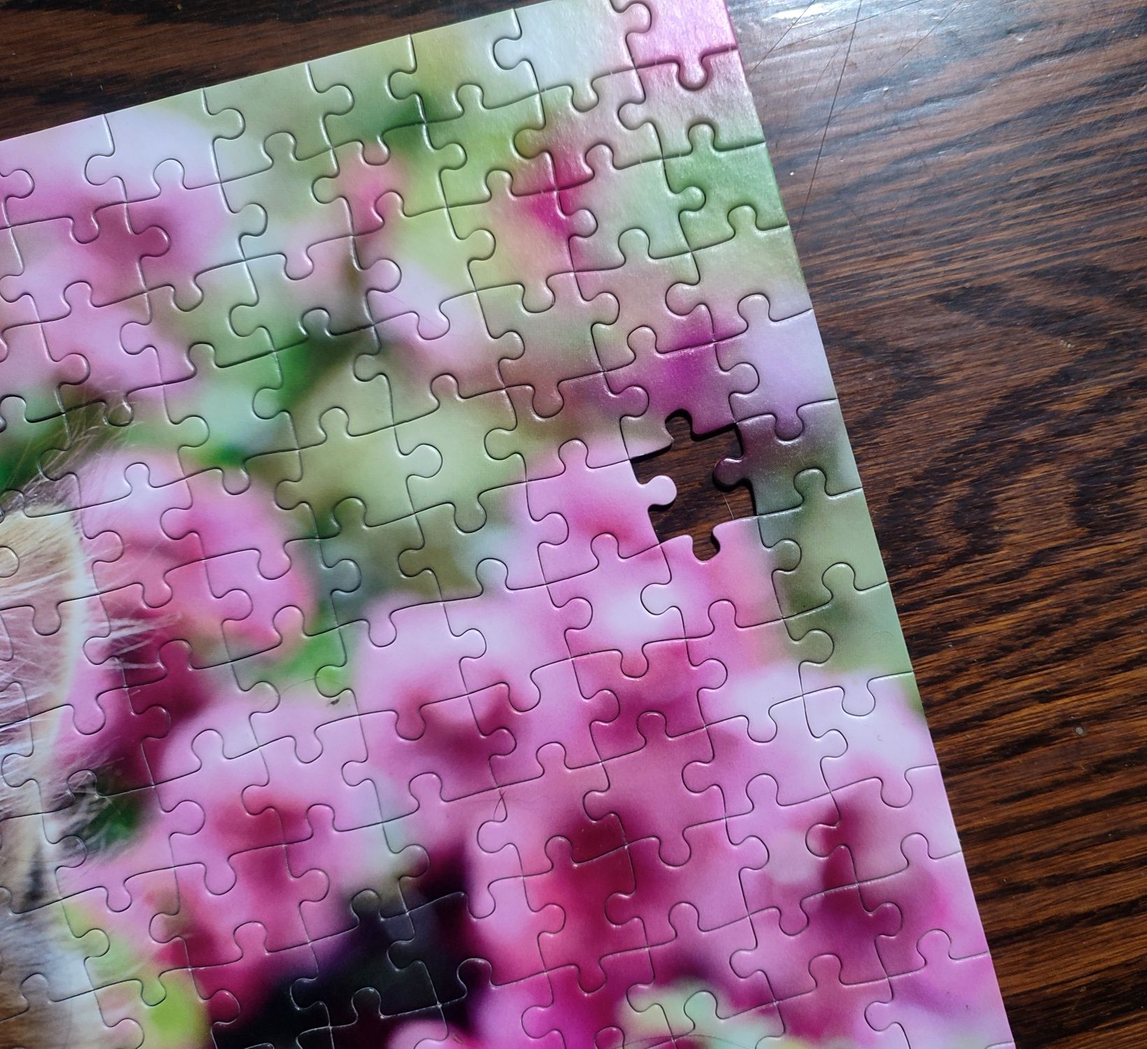 Puzzle Castorland 500 el. Kitten in flower garden Kotek B-52974 (-1)