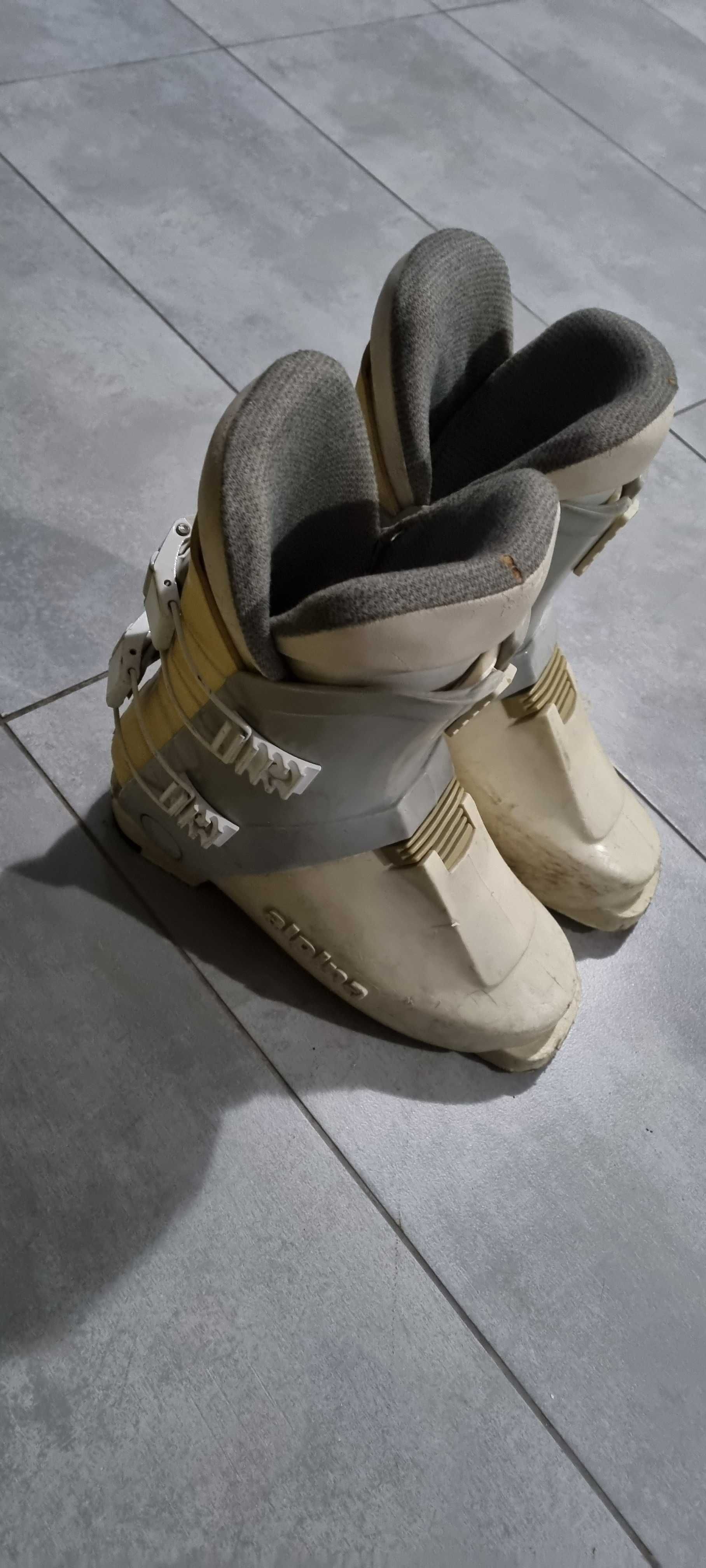 Buty narciarskie damskie dla początkujących Alpina
