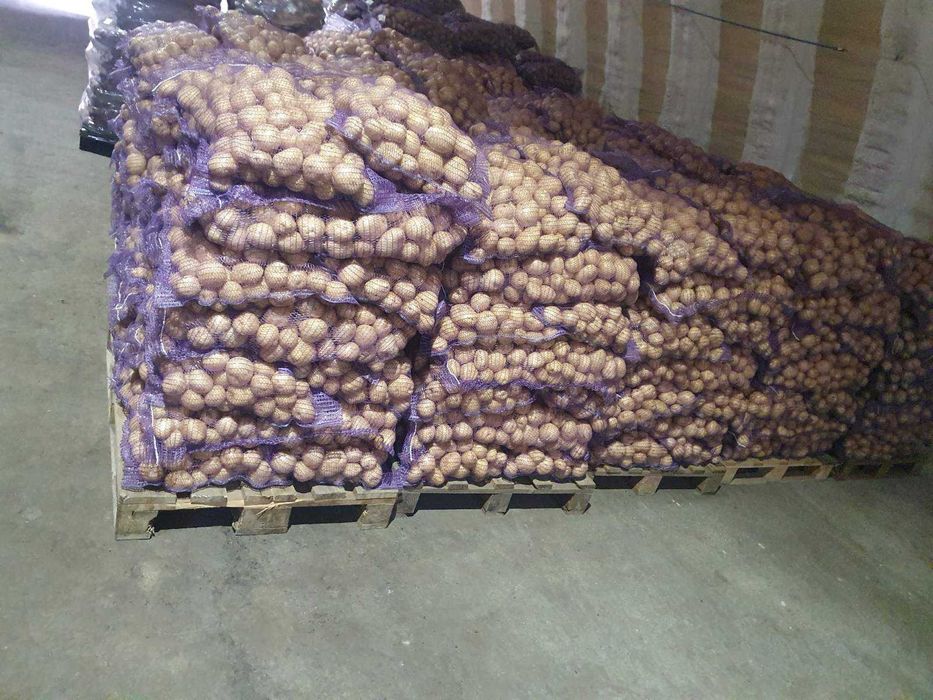 Продаж картоплі з овочебази в Житомирі