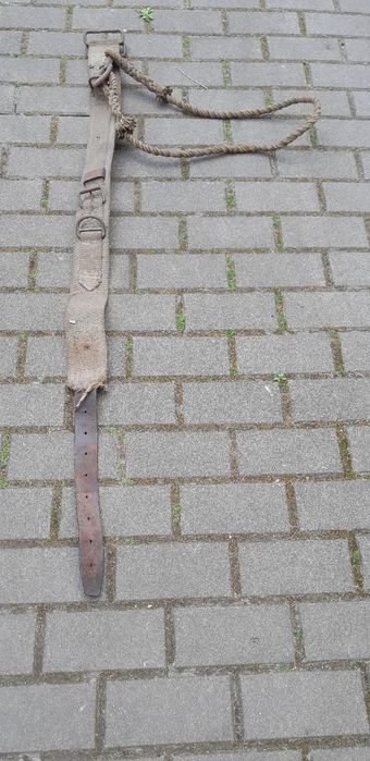 Pas z linką i karabińczykiem