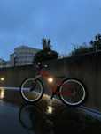 Dirt jump/ wheeling bike