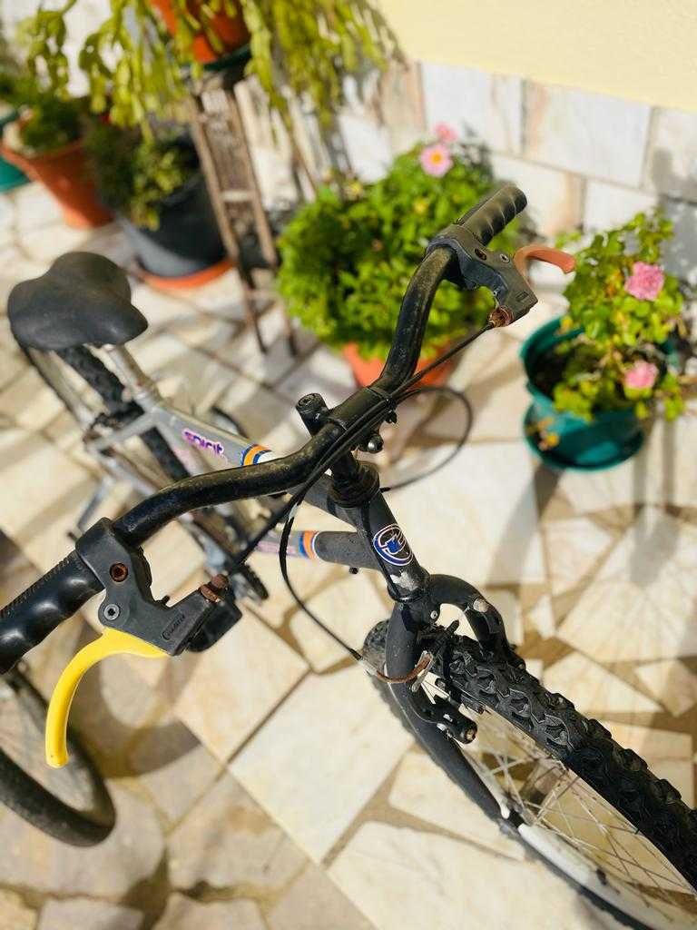 Bicicleta de criança com rodas de apoio (Usado)