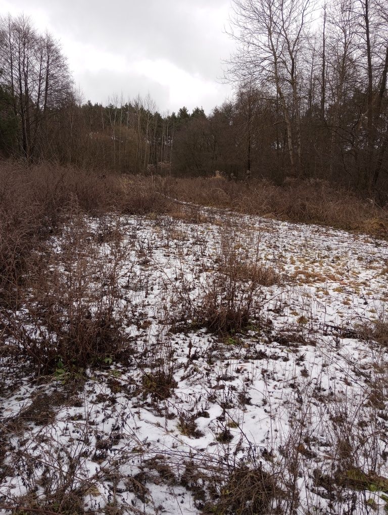 Działka utwardzona/plac pod park maszynowy/S74
