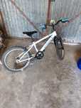 Bicicleta roda 20