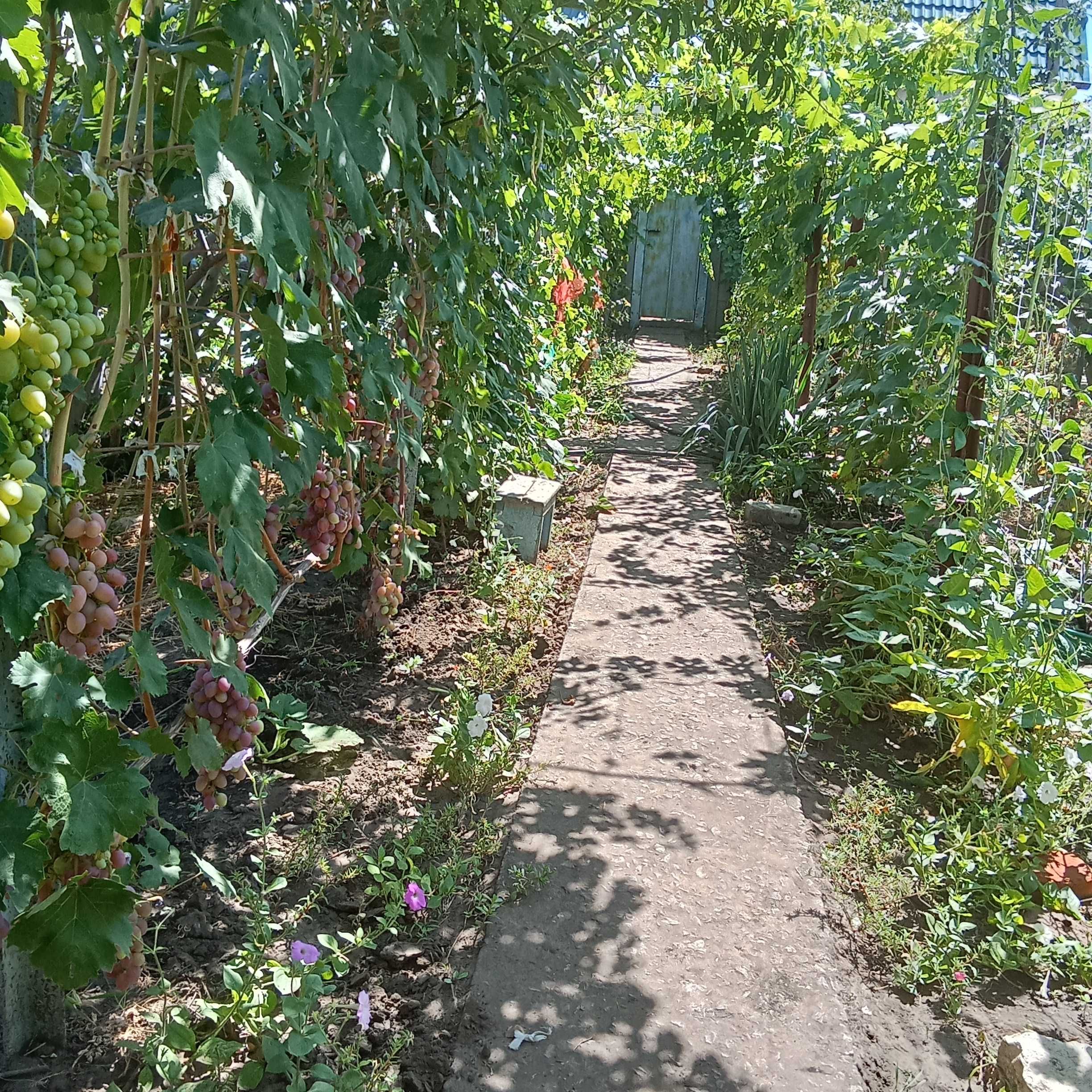 Продается дача в ШБ пригодная для проживания