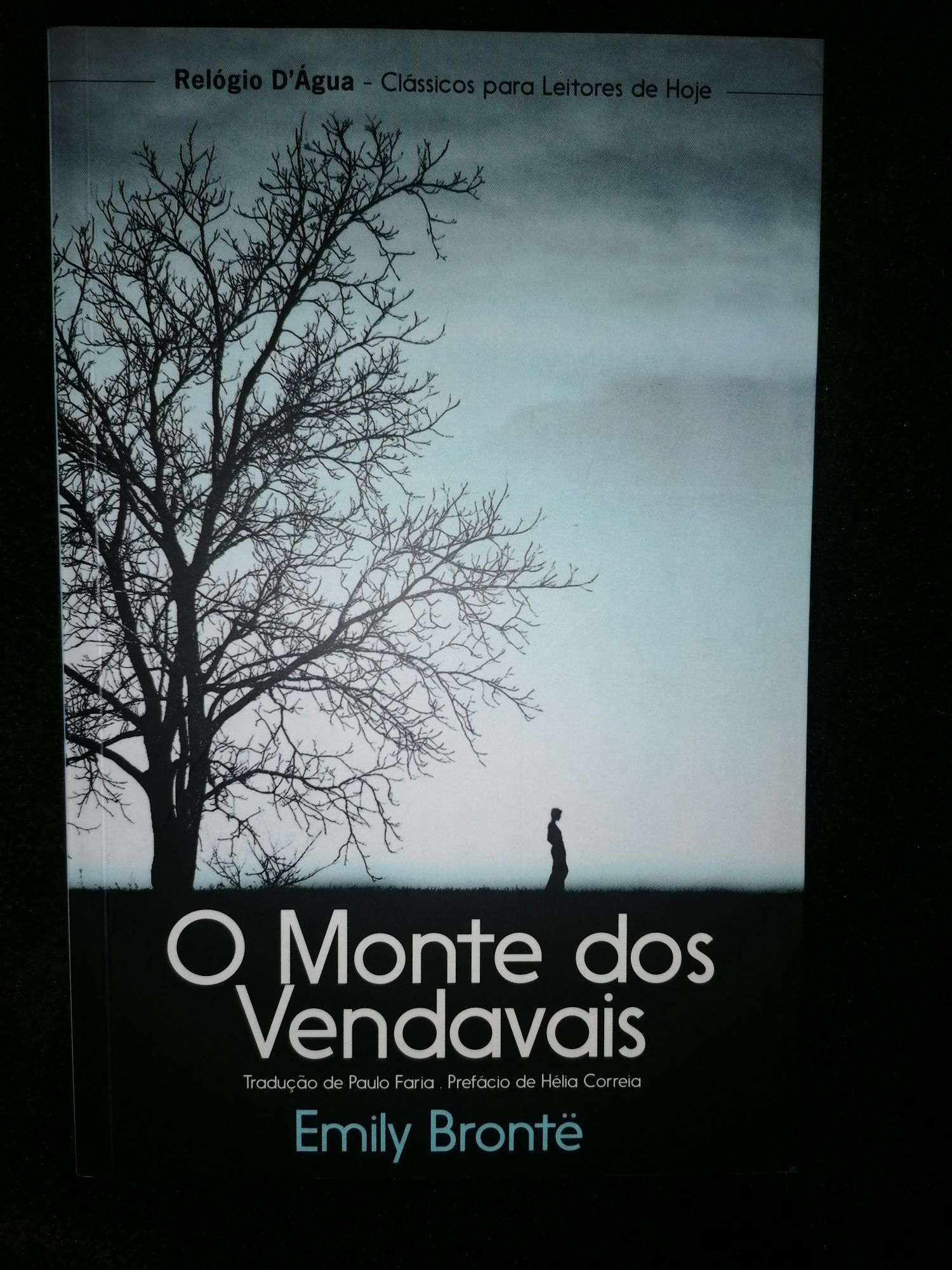 O Monte dos Vendavais