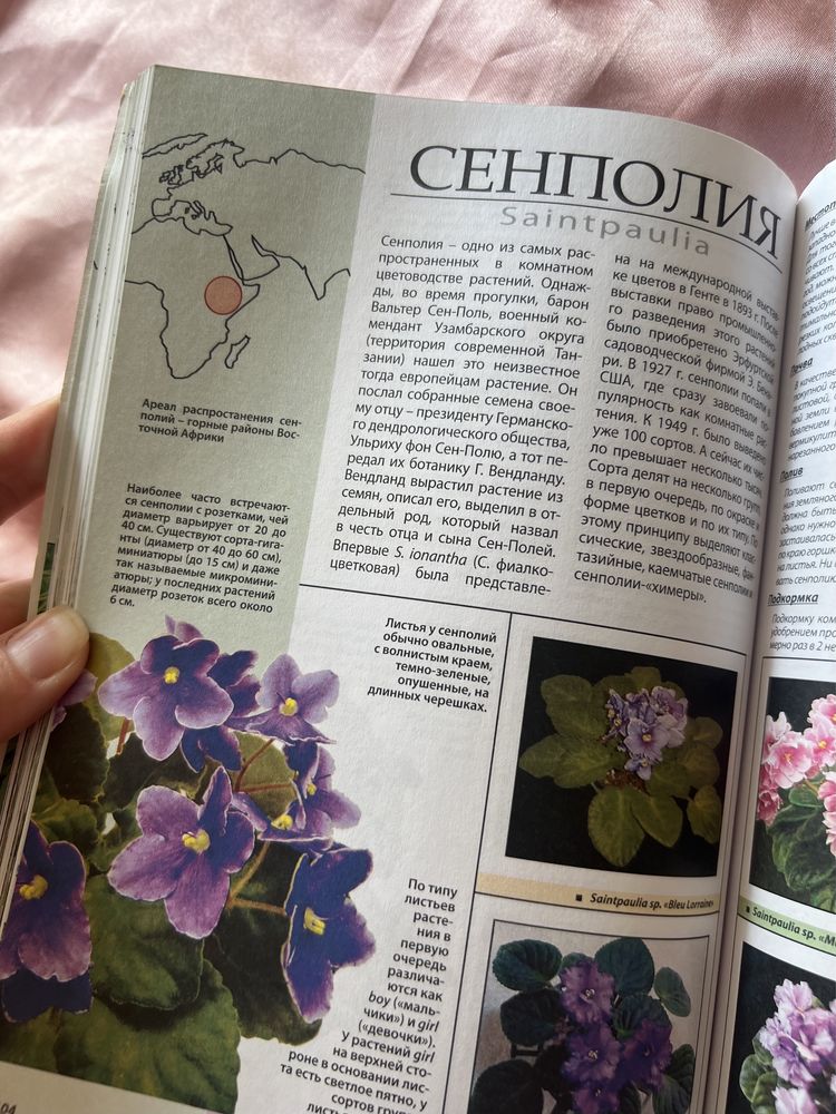Книга о сенполіях, кімнатних фіалках та інших квітах цієї родини