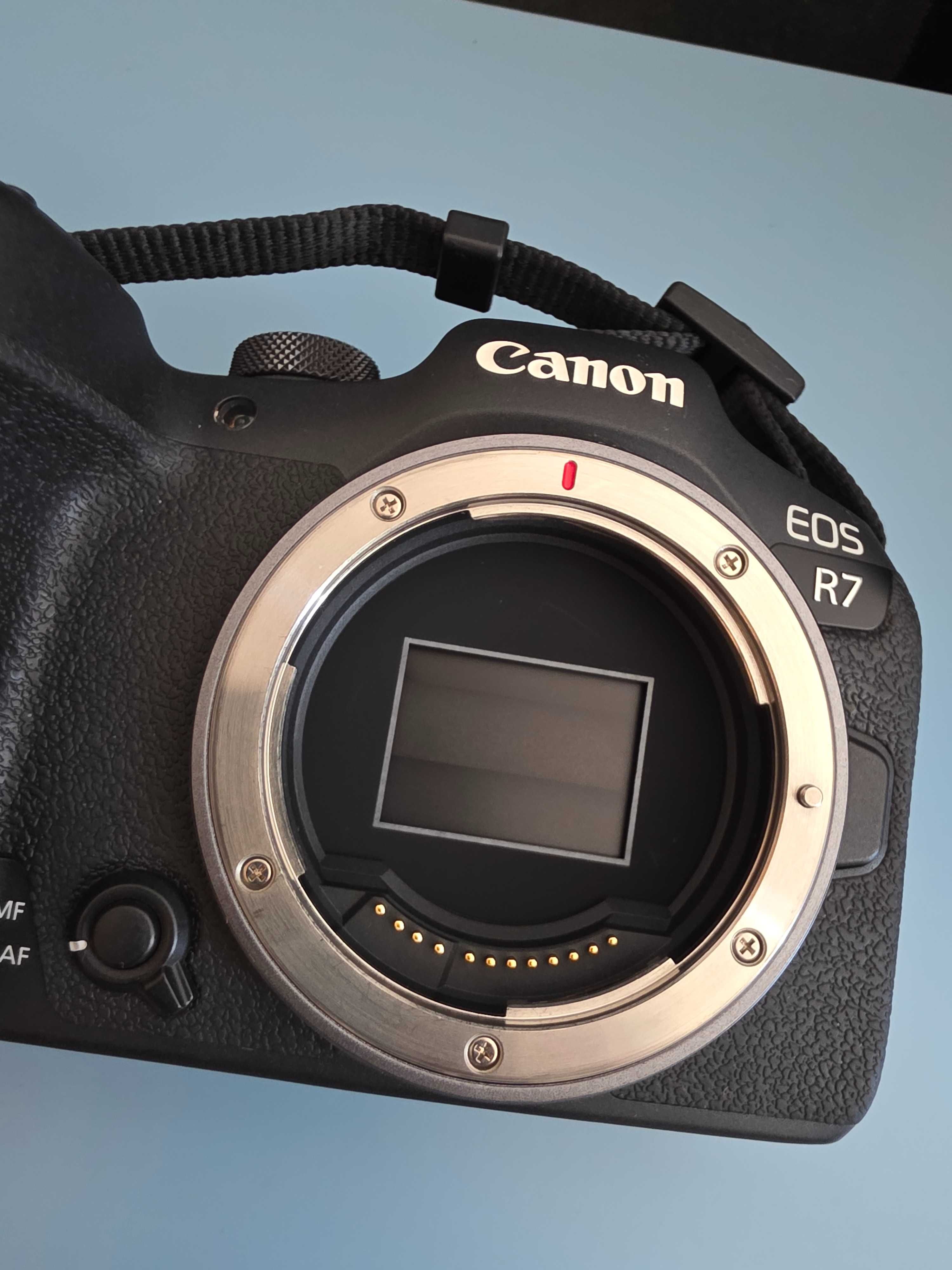 Canon R7 corpo (com garantia)