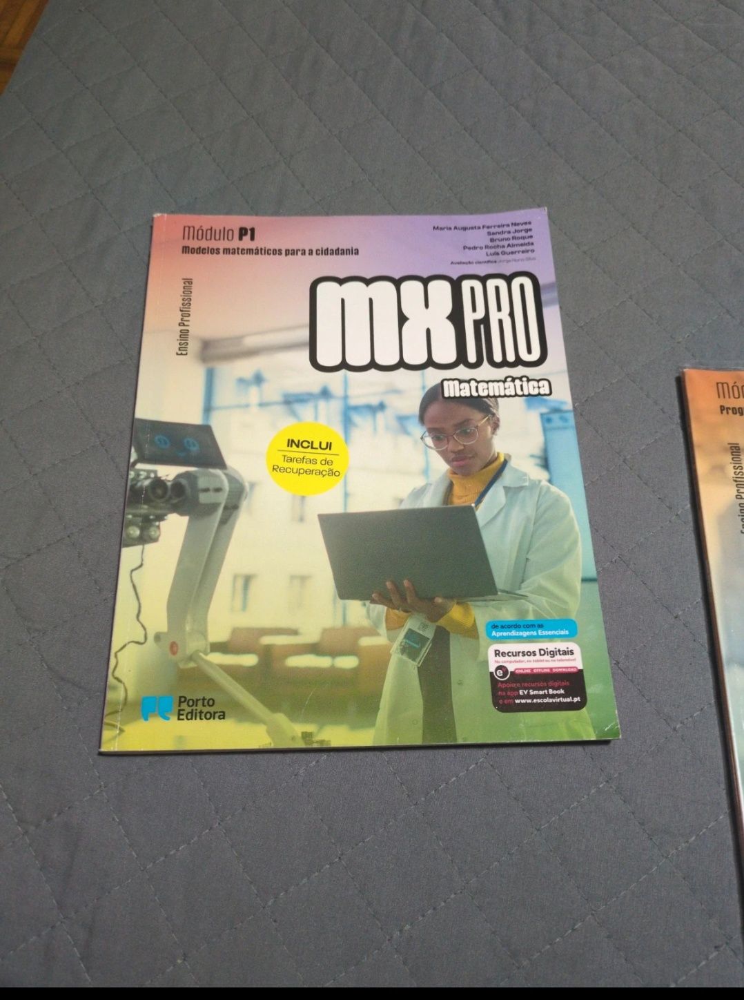Manual Ensino profissional
