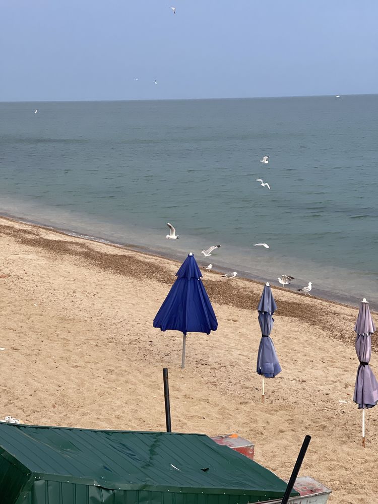 Сдам дачу у моря 1 линия