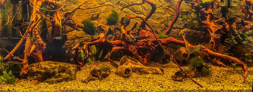 Akwarium 100l pełne wyposażenie fitry grzałki oswietlenie led tło 3d