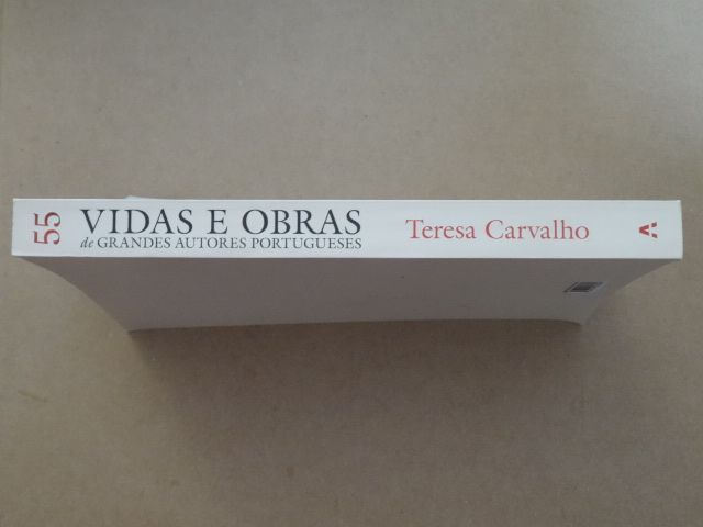 55 Vidas e Obras de Grandes Autores Portugueses de Teresa Carvalho