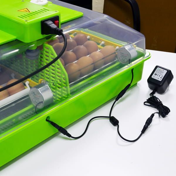 Inkubator Lęgowy Jaj z Klujnikiem - Automatyczny - PD60 SH