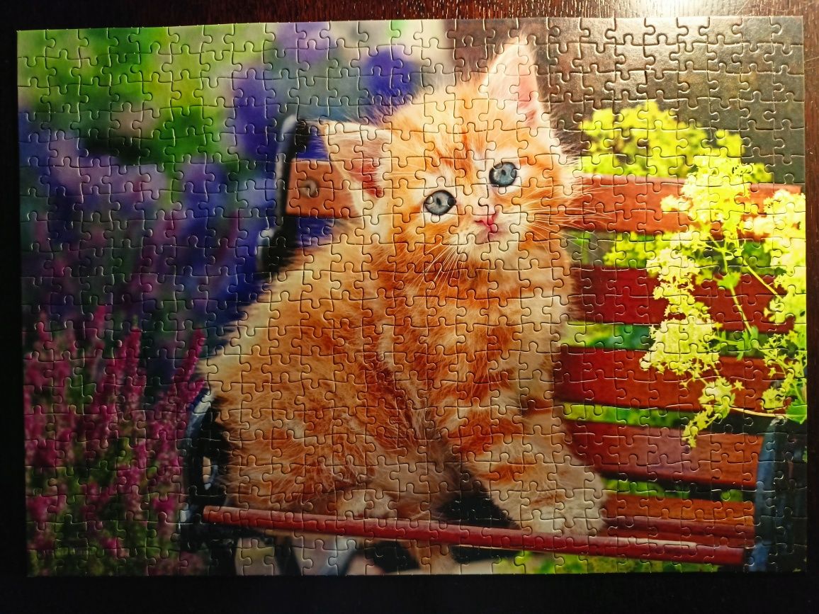Puzzle Castorland 500 elementów Ginger Kitten (Rudy kotek)