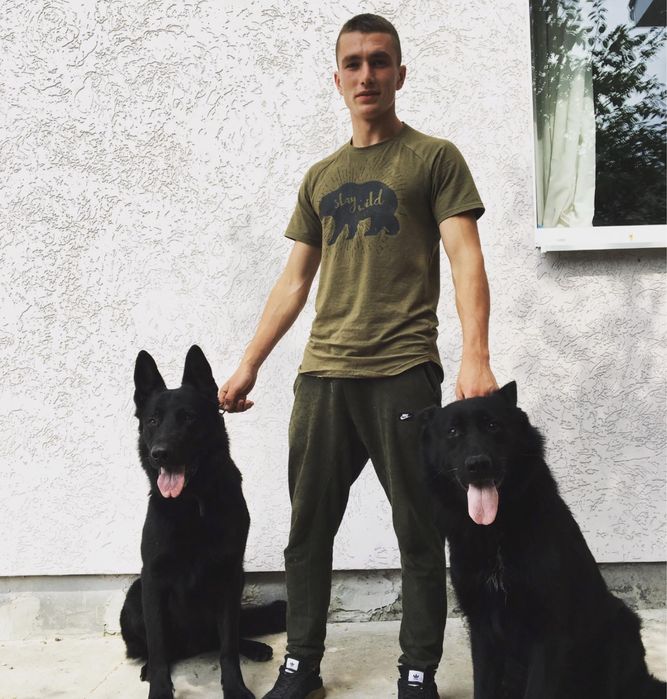 Дресирування собак. Індивідуально та групові заняття. Послуги кінолога