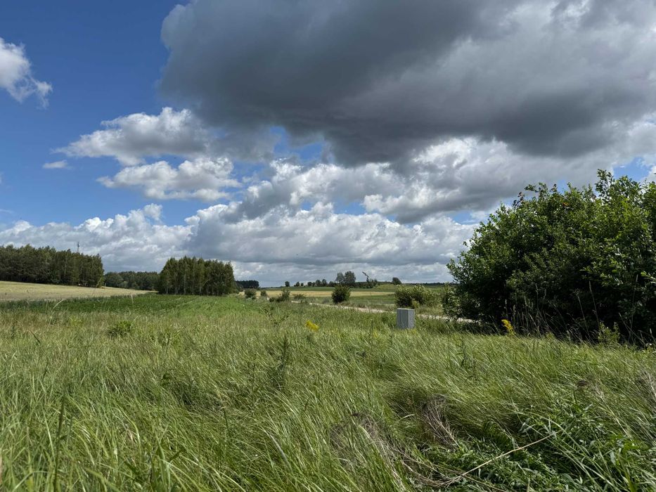 Działka*Wierzchlesie* WZ