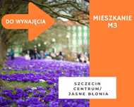 Mieszkanie 3-pokojowe - super lokalizacja, wolne od zaraz