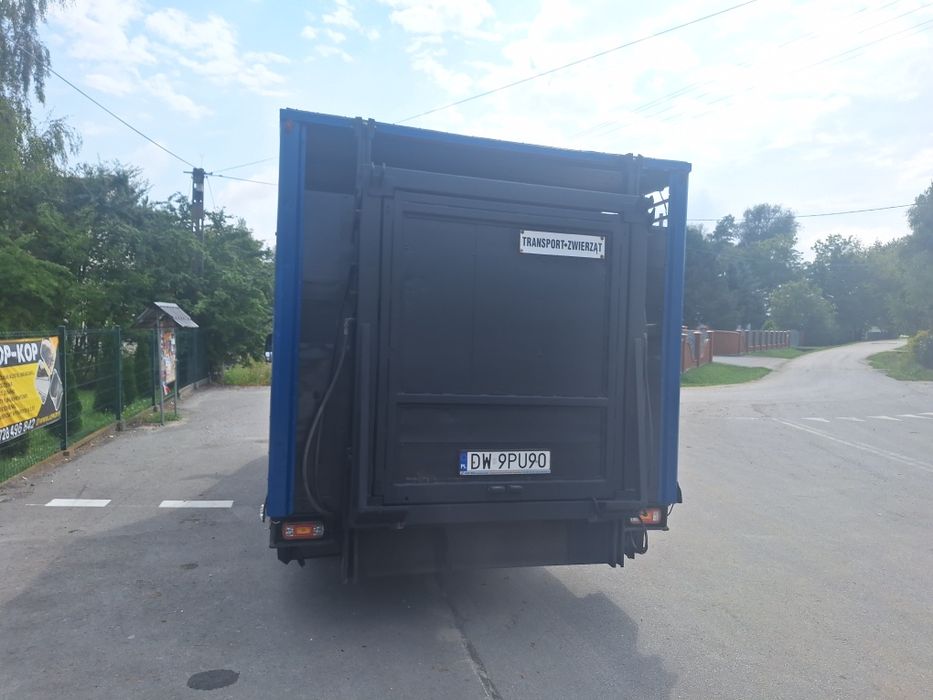 Iveco do przewozu zwierząt z waga